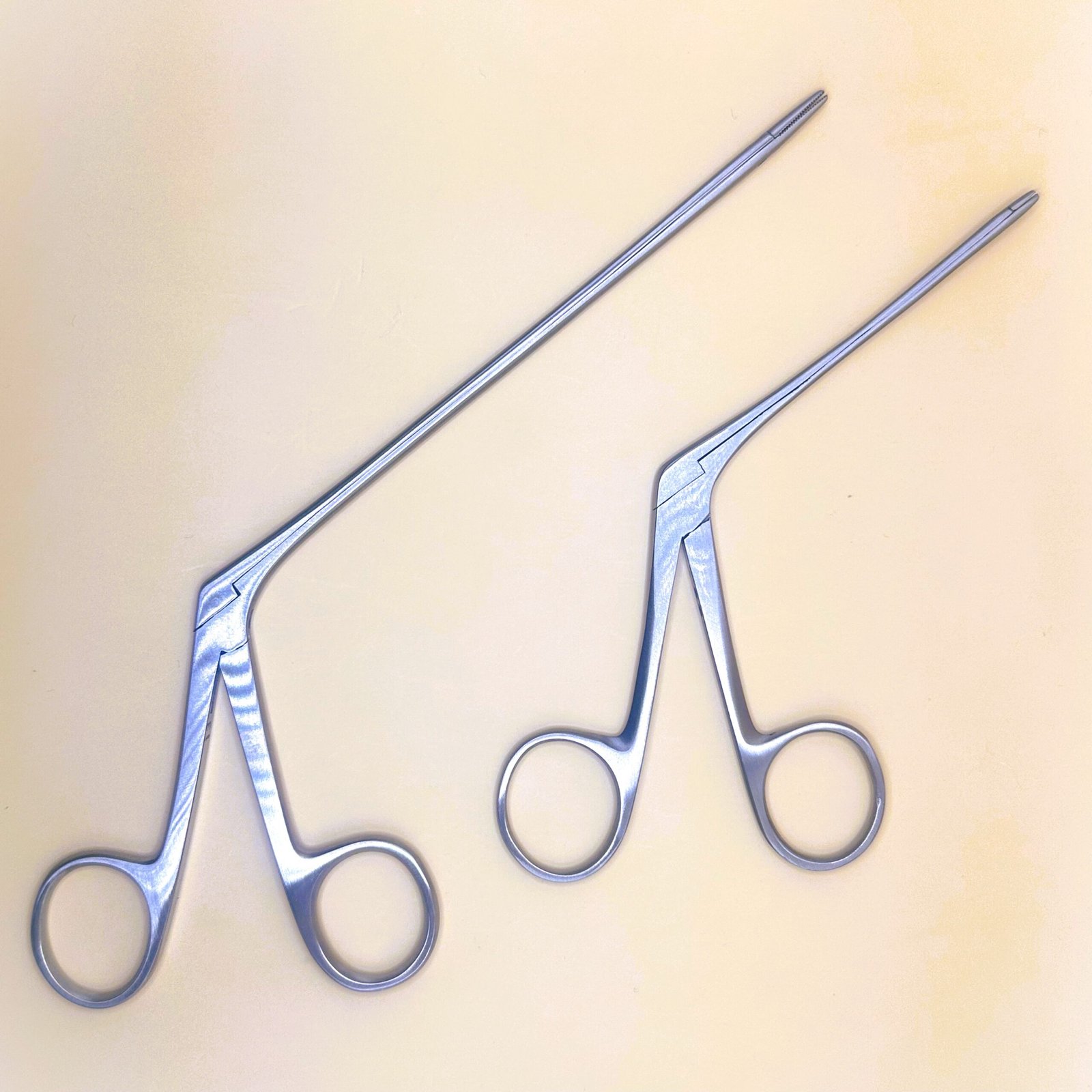 Alligator Forceps