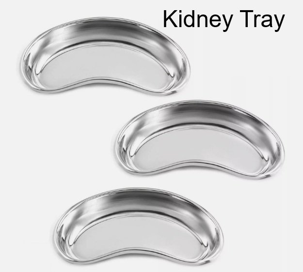 Surgical Kidney Tray